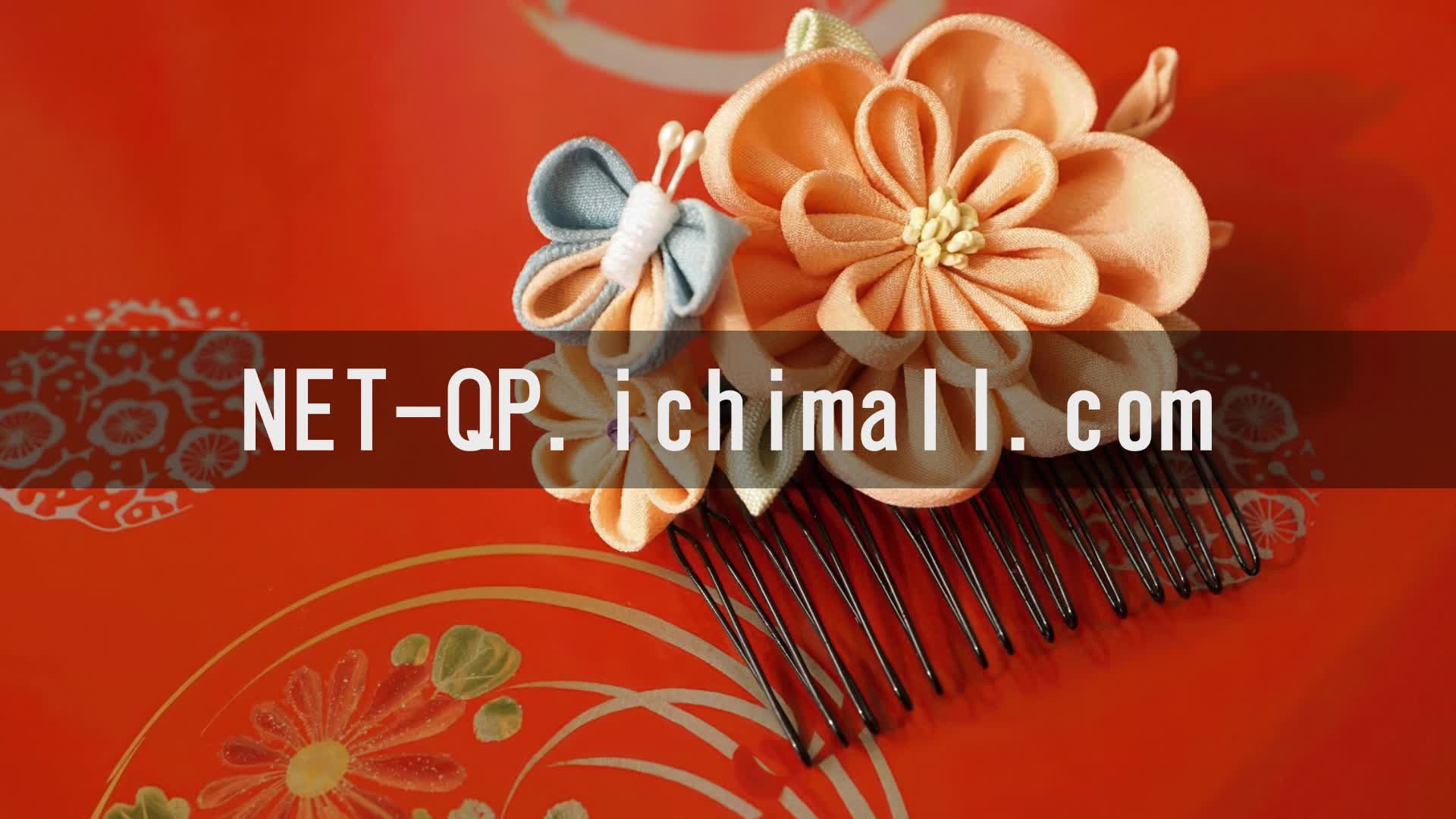 net-qp